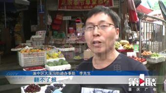 重庆 新闻爆料,聚焦城市热点事件与民生动态 第3张 重庆 新闻爆料,聚焦城市热点事件与民生动态 第3张