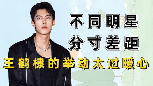 明星娱乐爆料王鹤棣,娱乐圈新晋小生,揭秘他的星途历程 第3张 明星娱乐爆料王鹤棣,娱乐圈新晋小生,揭秘他的星途历程 第3张