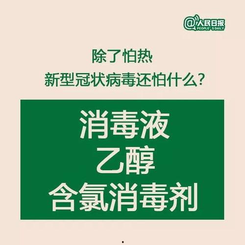 新型冠状病毒最新爆料,揭秘变异株与传播途径 第2张 新型冠状病毒最新爆料,揭秘变异株与传播途径 第2张