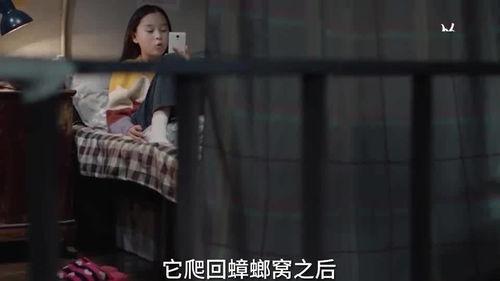 小慧姐爆料视频大全集,揭秘娱乐圈幕后真相