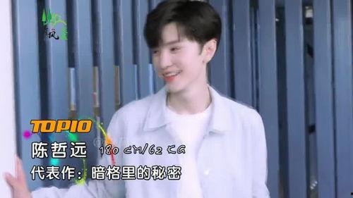 任嘉伦家庭爆料视频全集,揭秘明星背后的温馨故事