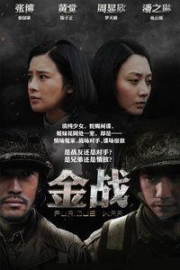 金战尖兵全集在线观看,揭秘战场传奇，热血青春的军旅篇章
