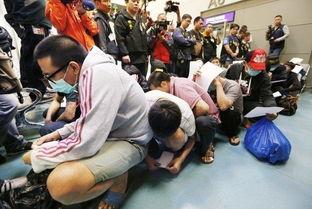 新闻爆料诈骗犯是谁啊,诈骗犯身份曝光 第1张 新闻爆料诈骗犯是谁啊,诈骗犯身份曝光 第1张