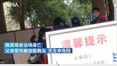 宜宾最新命案事件爆料,悲剧背后的人性拷问与法治追寻 第2张 宜宾最新命案事件爆料,悲剧背后的人性拷问与法治追寻 第2张