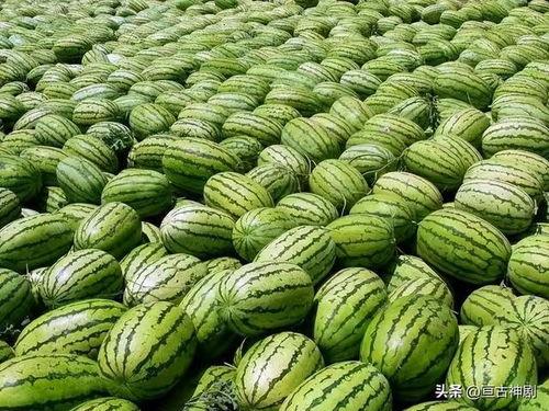 网红吃瓜情报处在哪里,追踪热点背后的秘密