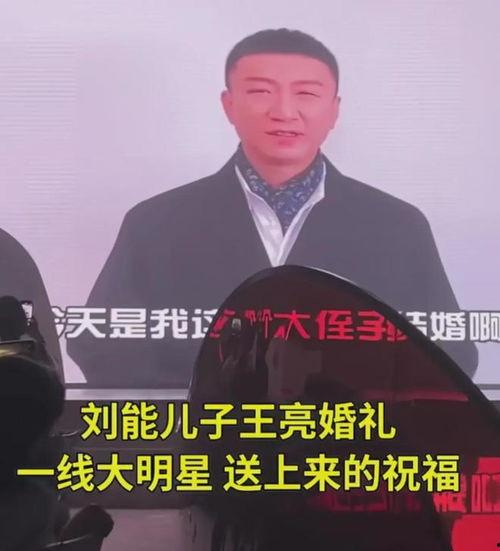 刘能娱乐圈爆料视频,揭秘明星幕后故事  第3张